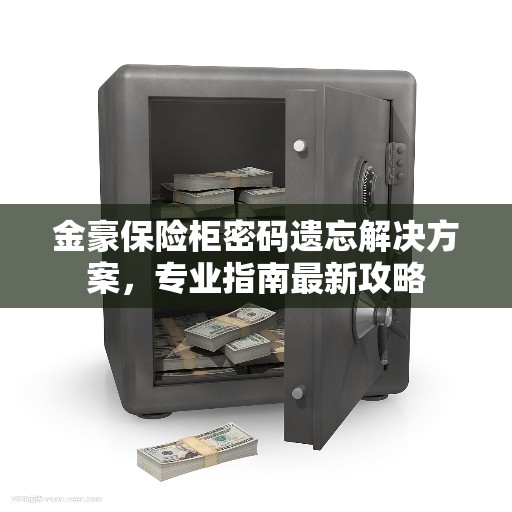 金豪保险柜密码遗忘解决方案，专业指南最新攻略