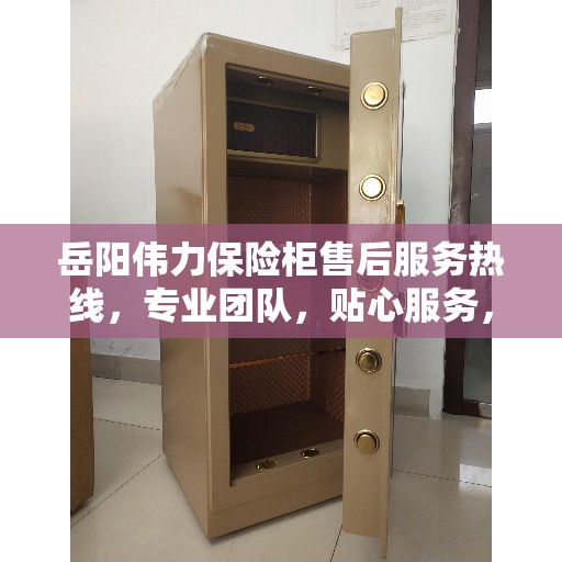 岳阳伟力保险柜售后服务热线，专业团队，贴心服务，为您的安全保驾护航！