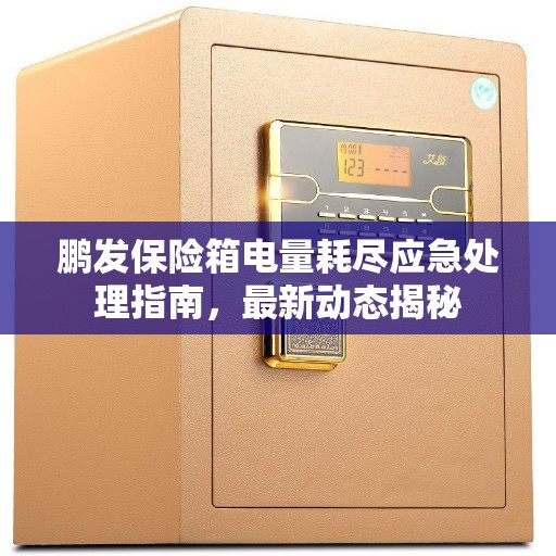 鹏发保险箱电量耗尽应急处理指南，最新动态揭秘