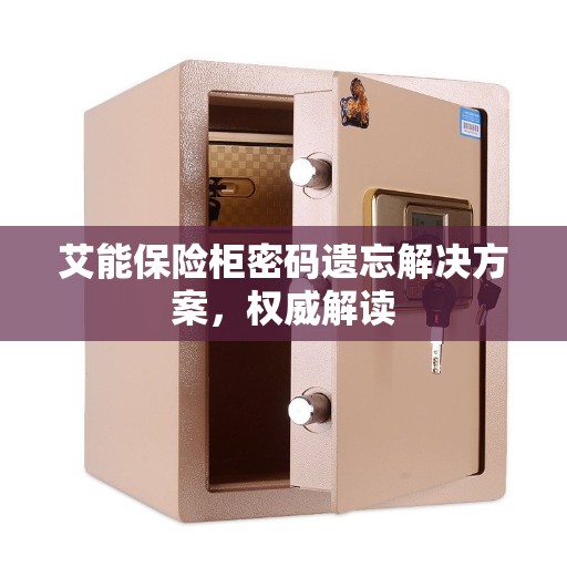 艾能保险柜密码遗忘解决方案，权威解读